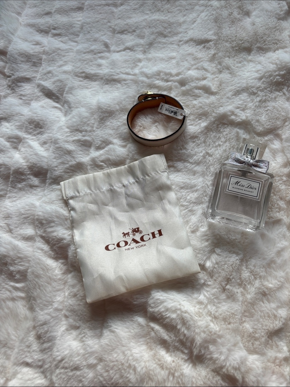 NWT Coach leather bracelet with duster bag
